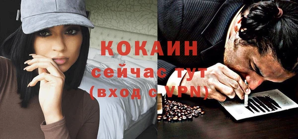 ГАЛЛЮЦИНОГЕННЫЕ ГРИБЫ Бородино