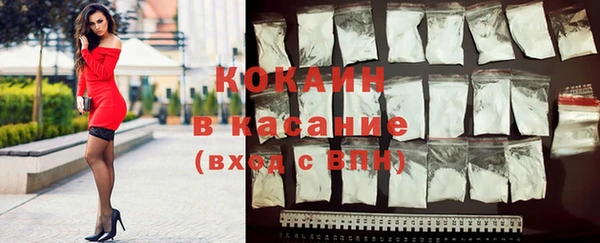 ГАЛЛЮЦИНОГЕННЫЕ ГРИБЫ Бородино