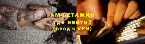 ГАЛЛЮЦИНОГЕННЫЕ ГРИБЫ Бородино