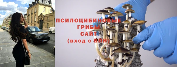 ГАЛЛЮЦИНОГЕННЫЕ ГРИБЫ Бородино